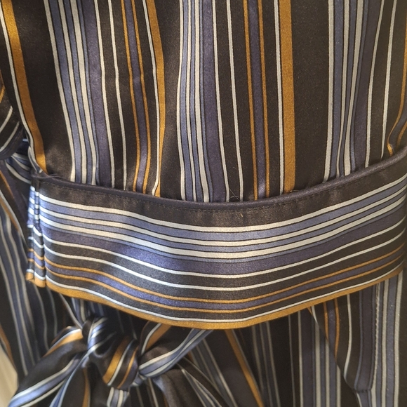 Silk Robe - Picture 3 of 5